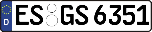 ES-GS6351