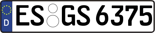 ES-GS6375