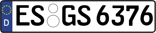 ES-GS6376