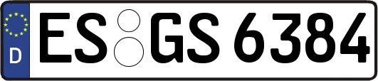 ES-GS6384