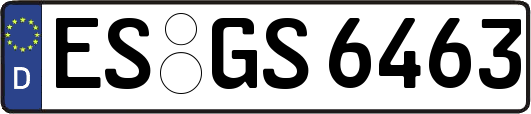 ES-GS6463