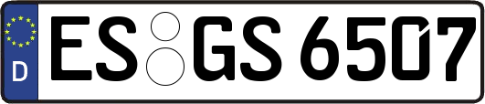ES-GS6507