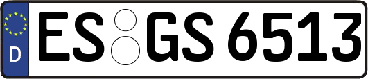 ES-GS6513