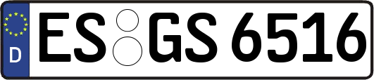 ES-GS6516