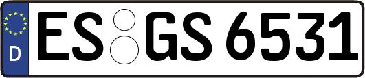 ES-GS6531