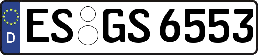 ES-GS6553