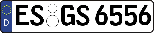 ES-GS6556