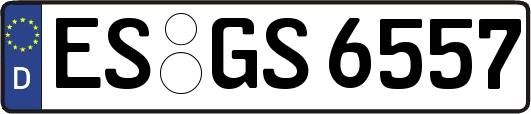 ES-GS6557