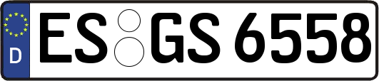 ES-GS6558