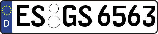 ES-GS6563