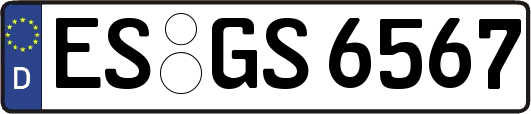 ES-GS6567