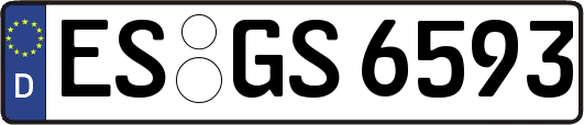 ES-GS6593