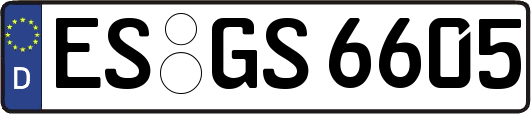 ES-GS6605