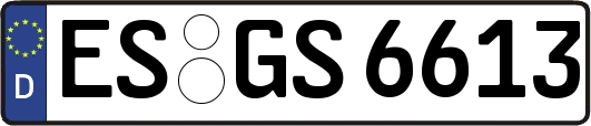 ES-GS6613