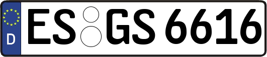 ES-GS6616