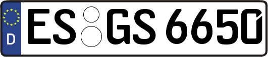 ES-GS6650
