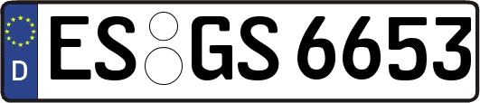 ES-GS6653