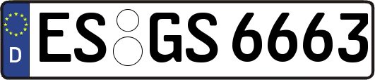 ES-GS6663