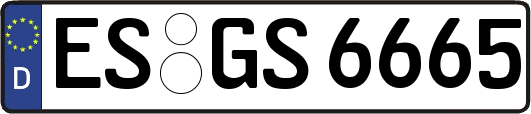 ES-GS6665