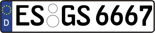 ES-GS6667