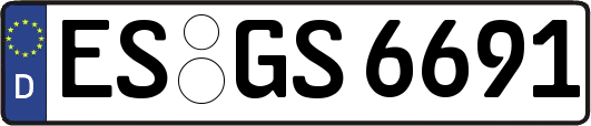 ES-GS6691