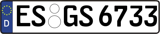 ES-GS6733