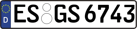 ES-GS6743