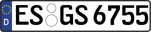 ES-GS6755