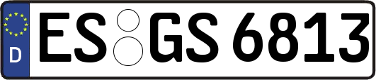 ES-GS6813