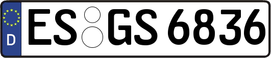 ES-GS6836