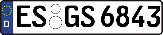 ES-GS6843