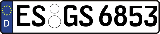ES-GS6853