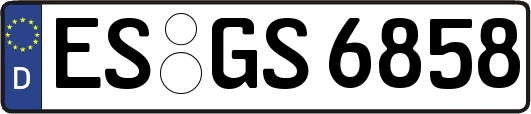 ES-GS6858