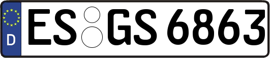 ES-GS6863