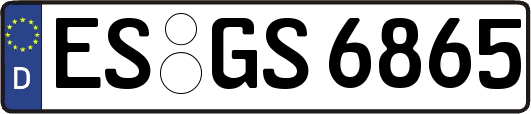 ES-GS6865