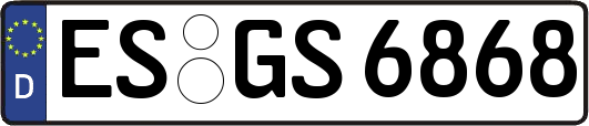 ES-GS6868