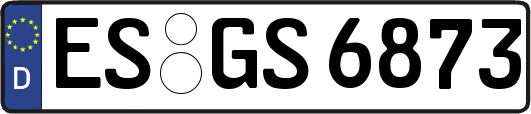 ES-GS6873