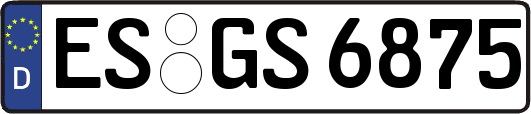 ES-GS6875