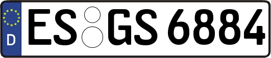 ES-GS6884