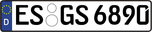 ES-GS6890