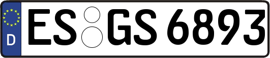 ES-GS6893