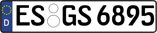 ES-GS6895