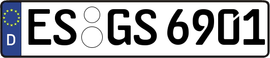ES-GS6901