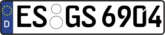 ES-GS6904