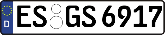 ES-GS6917