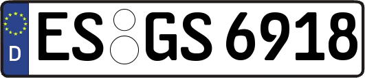 ES-GS6918