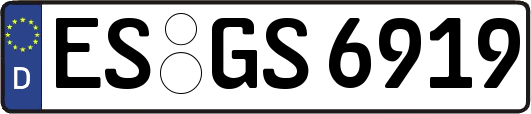 ES-GS6919