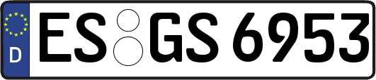 ES-GS6953