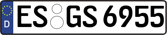 ES-GS6955