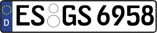 ES-GS6958